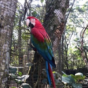 Meet your Posher, Joy